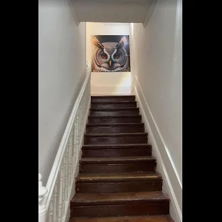 Hostel Owls