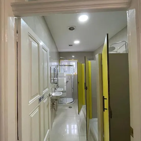 Hostel Owls *