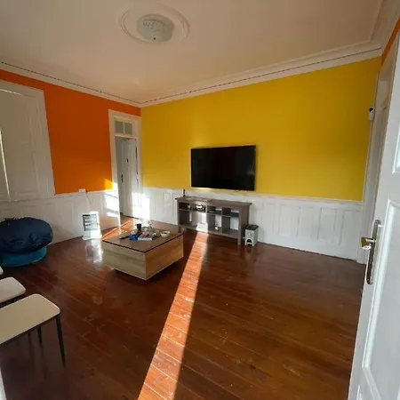 Owls