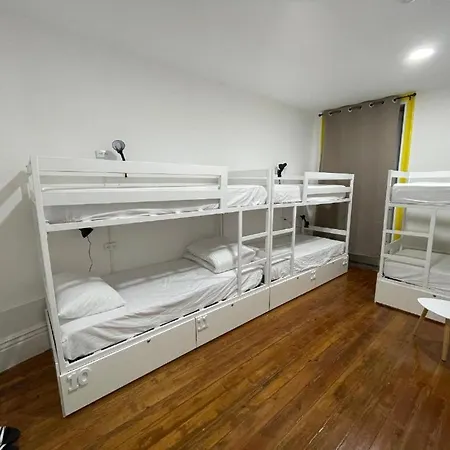 Hostel Owls